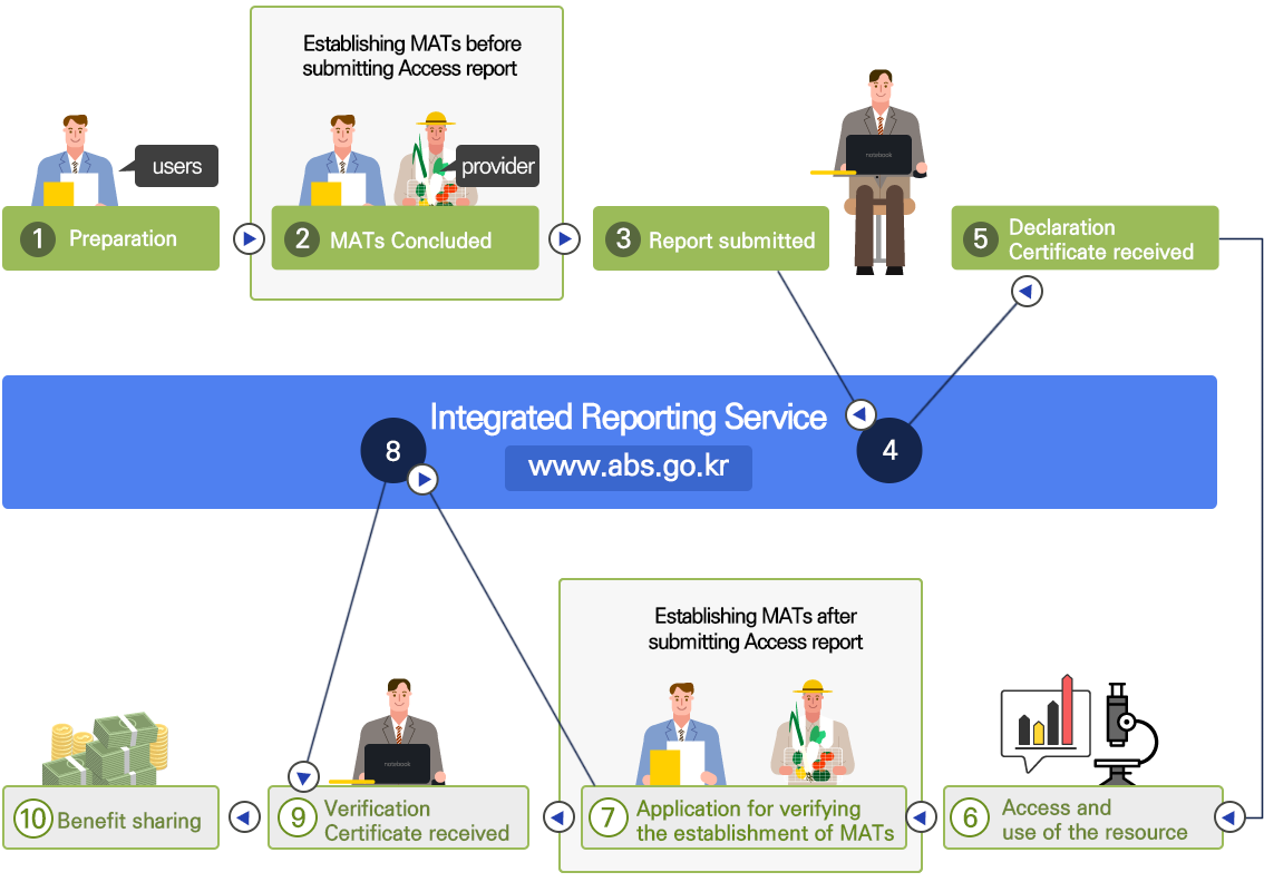 The reporting process