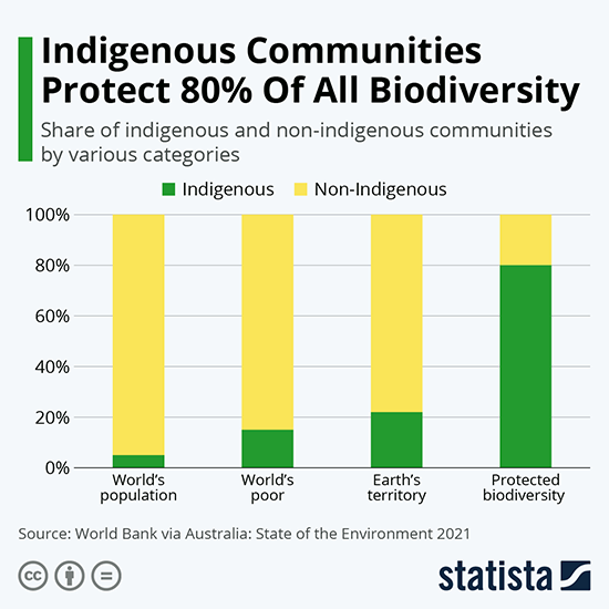 Bar chart showing that Indigenous communities protect about 80% of global biodiversity, comparing the shares of Indigenous and non-Indigenous communities across world population, the world’s poor, Earth’s territory, and protected biodiversity, with the highest Indigenous share in protected biodiversity.